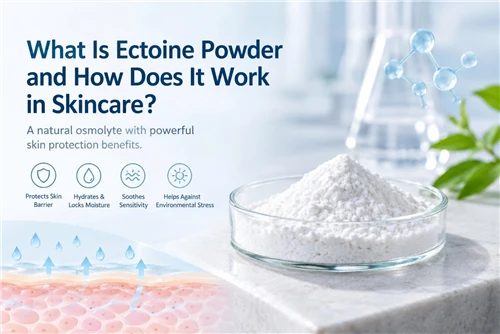 What Is Ectoine Powder and How Does It Work in Skincare?