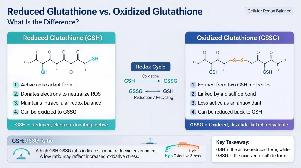 Reduced Glutathione vs. Oxidized Glutathione Reduced Glutathione vs. Oxidized Glutathione