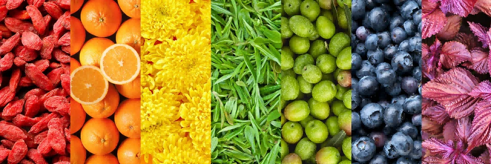 New Standard Drives High-Quality Plant Extract Growth-1
