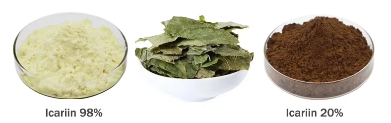 Epimedium Extract Powder Epimedium Extract Powder